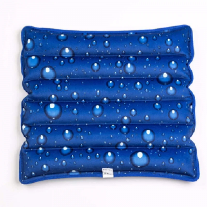 https://www.makemygaadi.com/backend/images/products_gallery/original/2139442-gallery-WaterCushion-5.webp