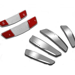 door-guard-set-of-4-silver